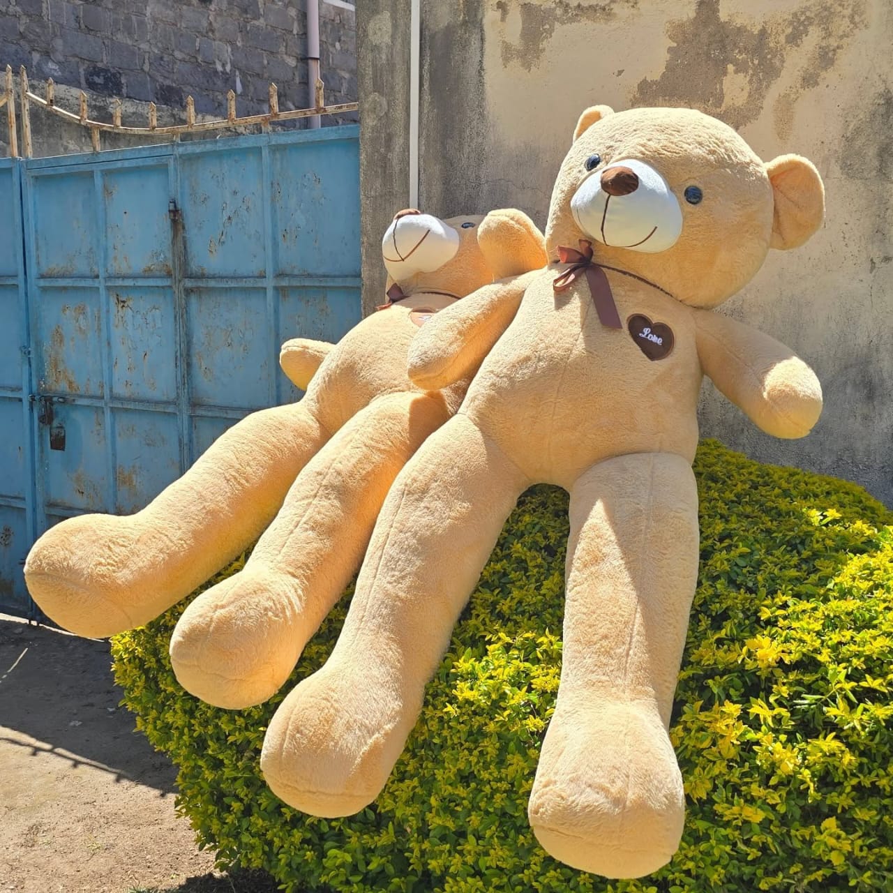 MarshMallow Bear — teddy bears delivered in Nairobi by Floral Whispers Gifts